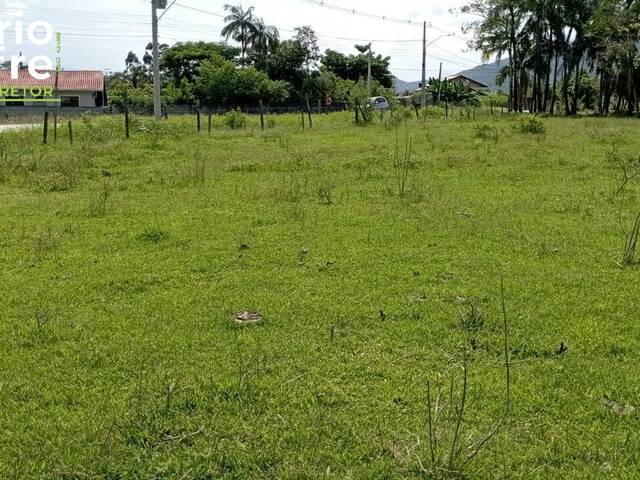 #50 - Terreno Industrial para Venda em Guaramirim - SC