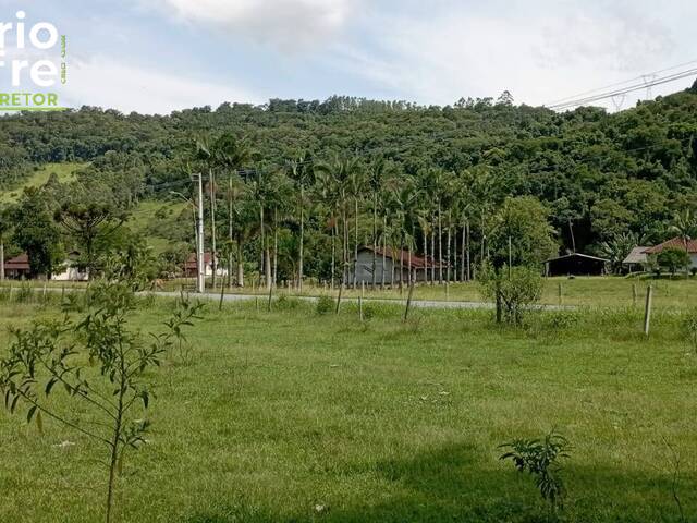 #50 - Terreno Industrial para Venda em Guaramirim - SC