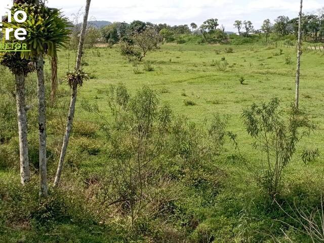 Terreno Industrial para Venda em Guaramirim - 4