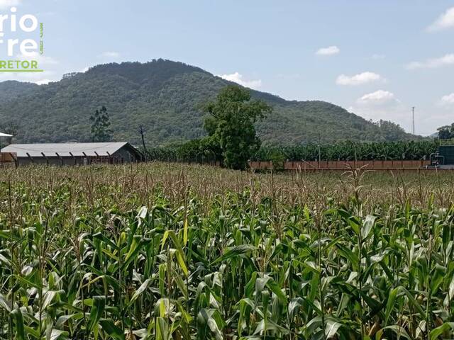 Terreno Industrial para Venda em Schroeder - 4