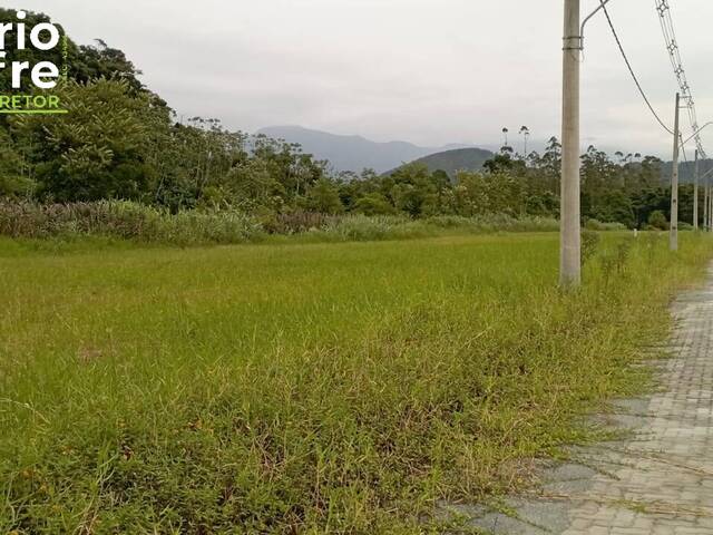 Terreno Urbano para Venda em Schroeder - 4