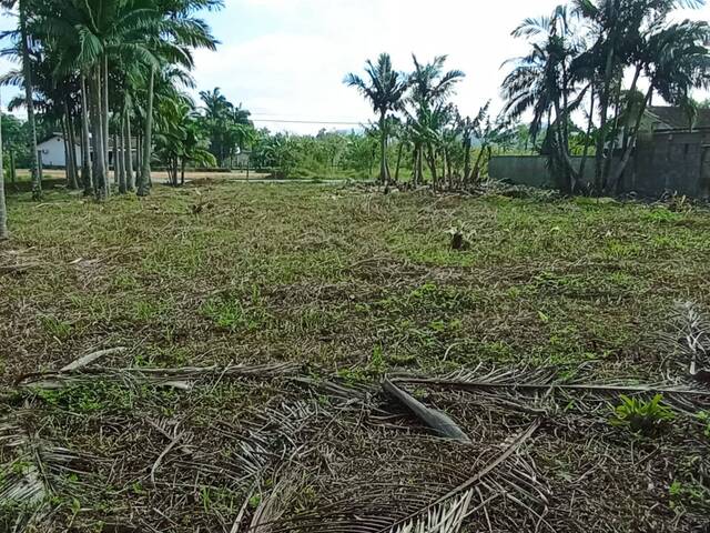 Terreno Urbano para Venda em Schroeder - 5