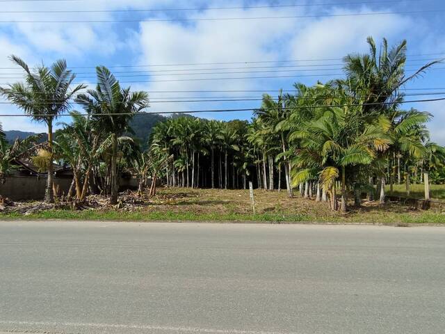 #87 - Terreno Urbano para Venda em Schroeder - SC - 1