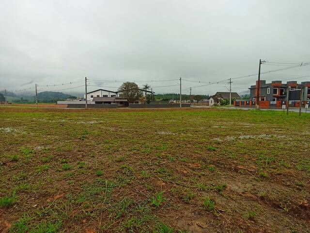 Terreno Urbano para Venda em Schroeder - 5