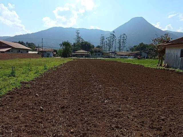 #42 - Terreno Urbano para Venda em Schroeder - SC - 3