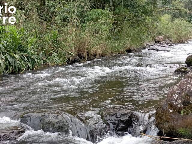 Venda em Bracinho - Schroeder