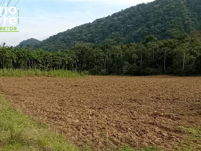 #97 - Terreno Rural para Venda em Schroeder - SC - 2