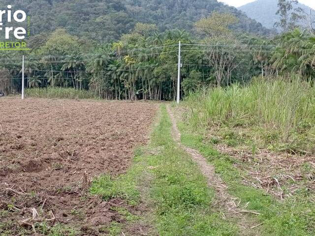 #97 - Terreno Rural para Venda em Schroeder - SC - 3