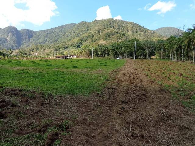 Terreno Rural para Venda em Schroeder - 5