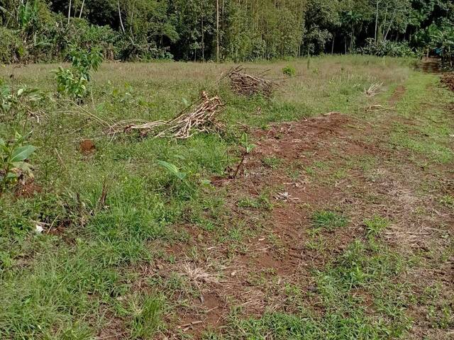 Terreno Rural para Venda em Schroeder - 5