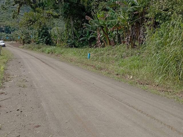 #88 - Terreno Rural para Venda em Schroeder - SC - 2