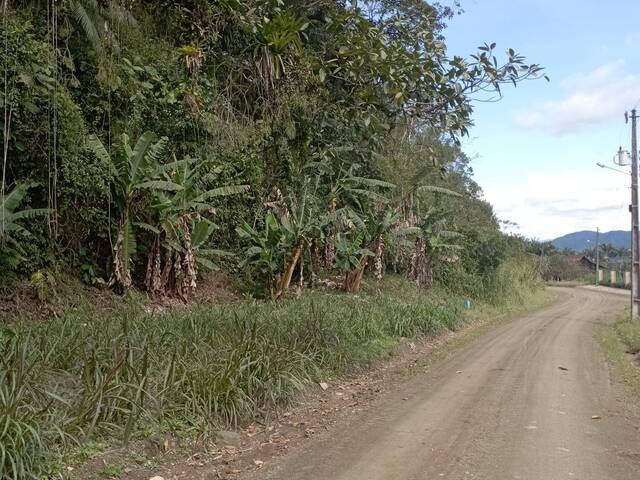 #88 - Terreno Rural para Venda em Schroeder - SC - 3