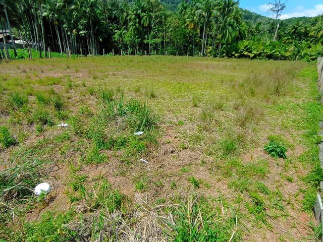 #100 - Terreno Urbano para Venda em Schroeder - SC - 3