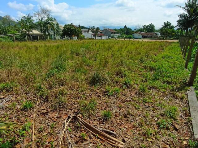 Terreno Urbano para Venda em Schroeder - 4