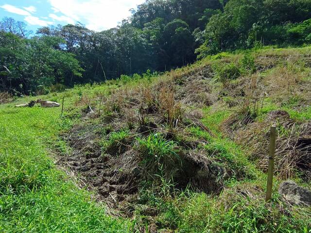 #103 - Terreno Rural para Venda em Schroeder - SC - 3