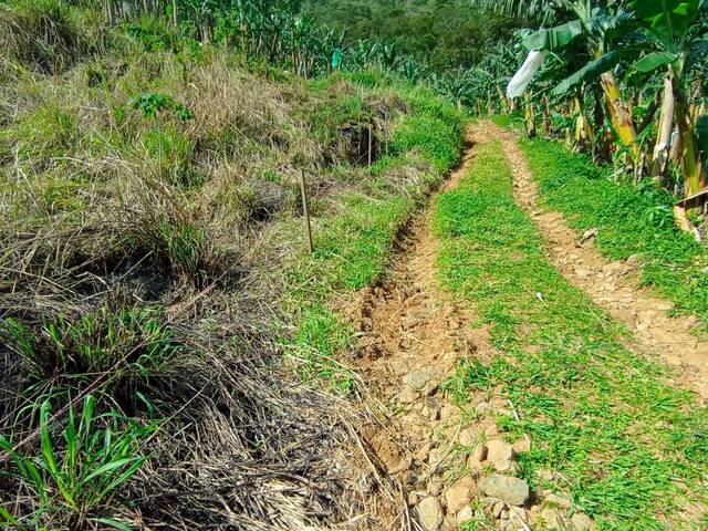 Terreno Rural para Venda em Schroeder - 4