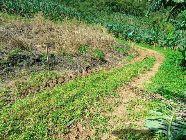 #104 - Terreno Rural para Venda em Schroeder - SC - 3