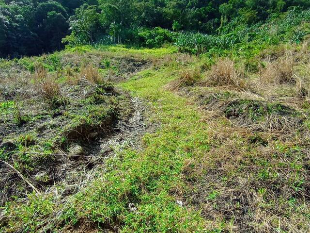 #104 - Terreno Rural para Venda em Schroeder - SC - 2