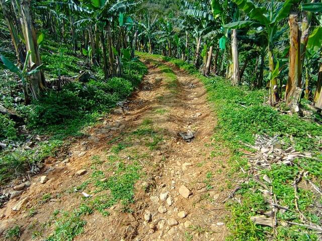 Terreno Rural para Venda em Schroeder - 5