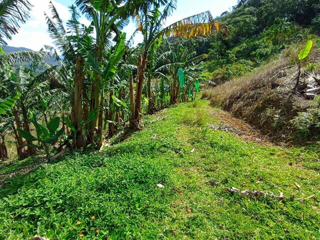 #105 - Terreno Rural para Venda em Schroeder - SC - 2