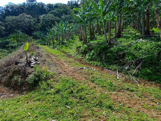 #105 - Terreno Rural para Venda em Schroeder - SC - 3