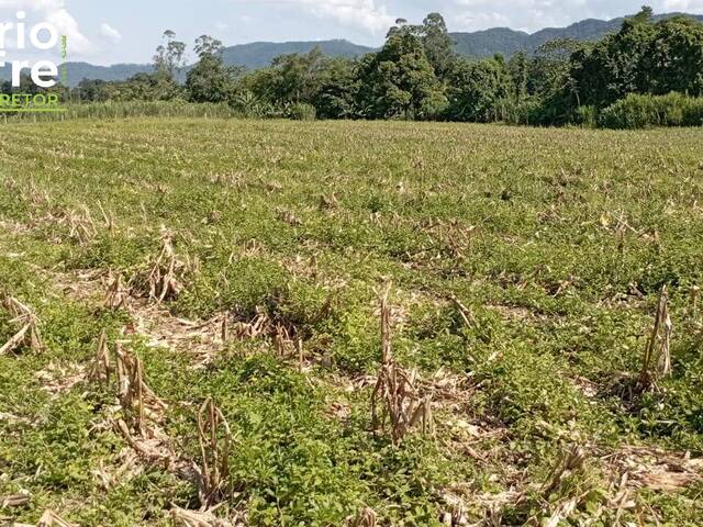 Venda em Bracinho - Schroeder