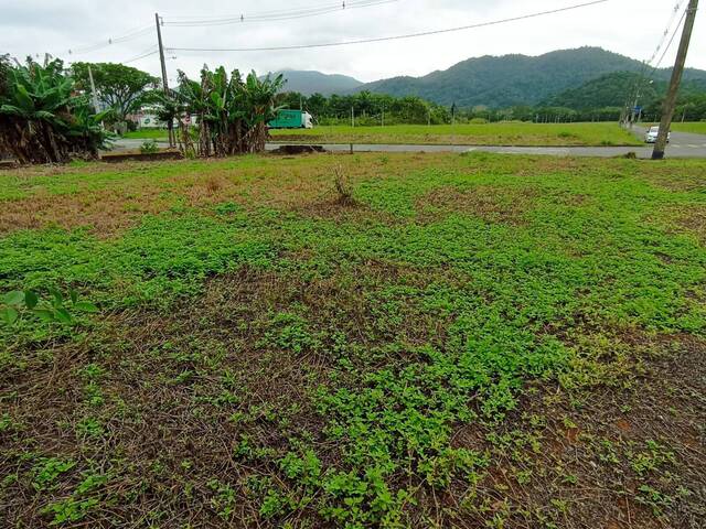 #109 - Terreno Urbano para Venda em Schroeder - SC - 3