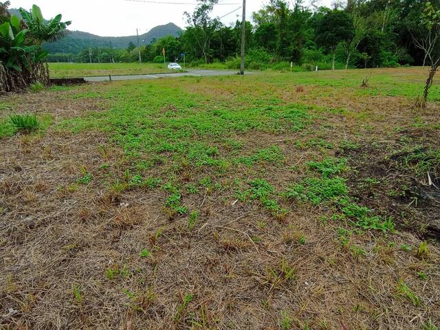 Terreno Urbano para Venda em Schroeder - 4