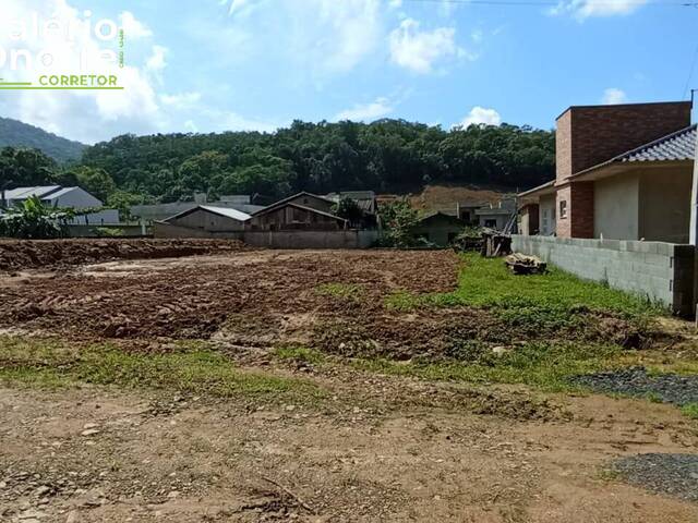 #118 - Terreno Urbano para Venda em Schroeder - SC - 3