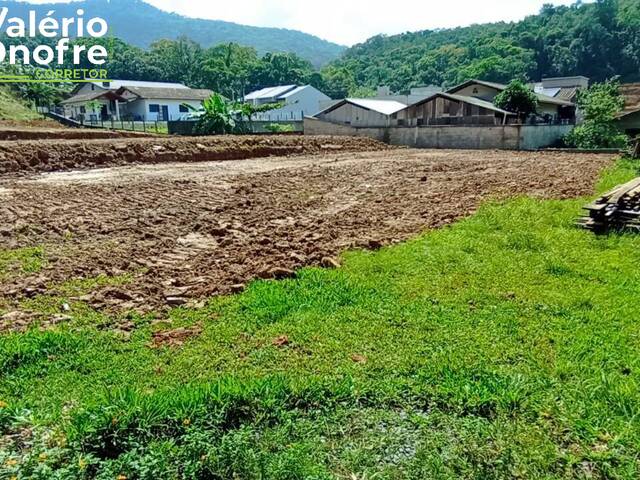 #118 - Terreno Urbano para Venda em Schroeder - SC - 1