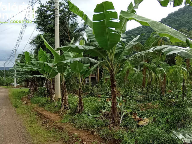 Venda em Bracinho - Schroeder