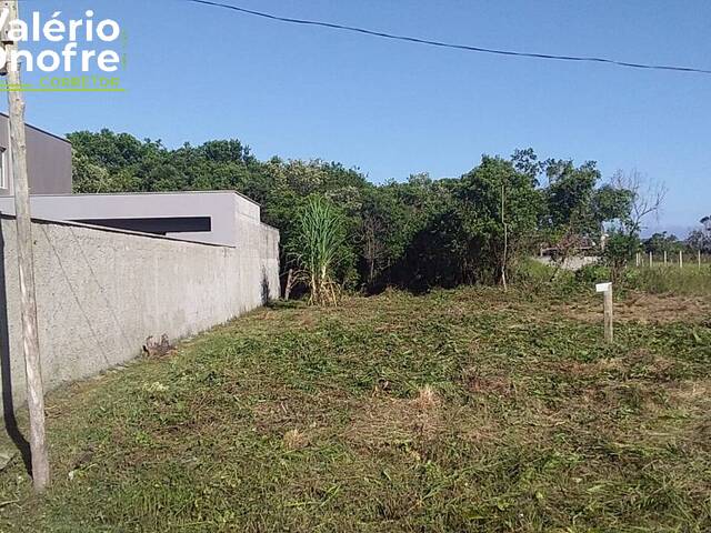 #139 - Terreno Urbano para Venda em São Francisco do Sul - SC - 1