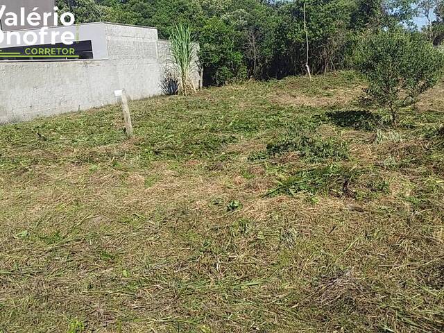 #139 - Terreno Urbano para Venda em São Francisco do Sul - SC - 2