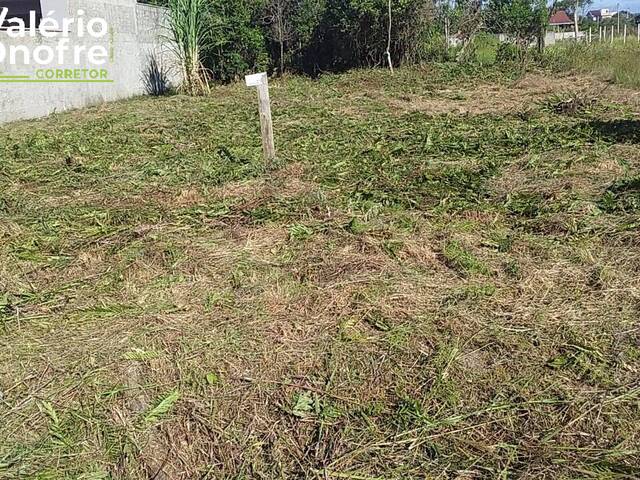 #139 - Terreno Urbano para Venda em São Francisco do Sul - SC - 3