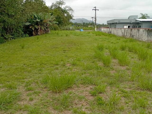 Terreno Urbano para Venda em Schroeder - 4