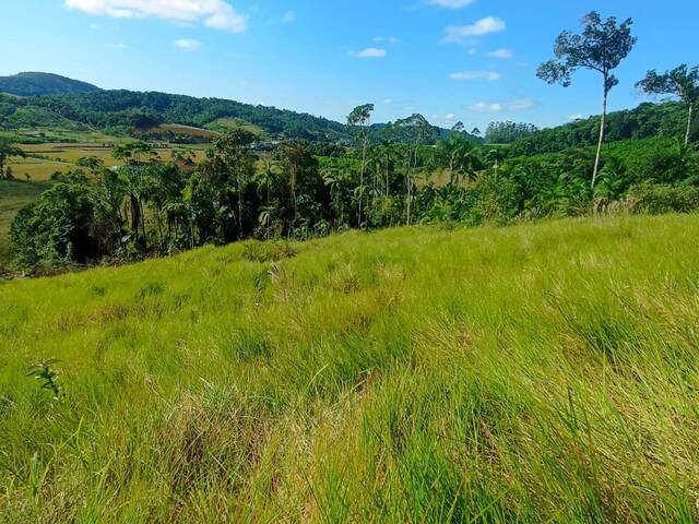 #166 - Terreno Rural para Venda em Guaramirim - SC - 2