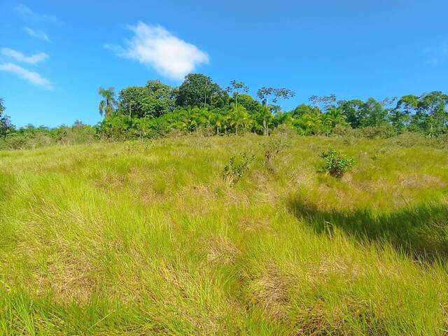 #166 - Terreno Rural para Venda em Guaramirim - SC - 3