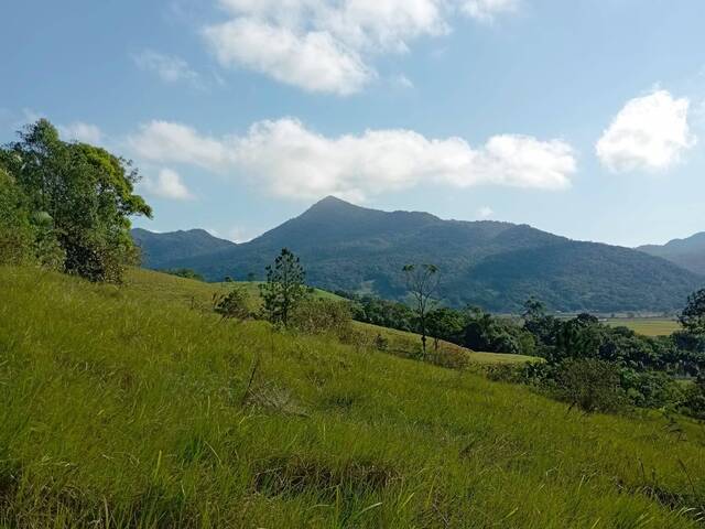 Terreno Rural para Venda em Guaramirim - 4