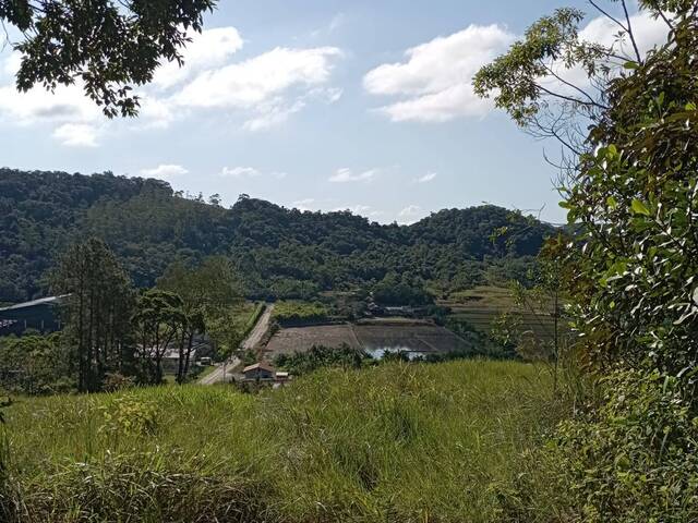 Terreno Rural para Venda em Guaramirim - 5