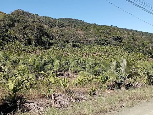 #171 - Terreno Rural para Venda em Schroeder - SC - 3