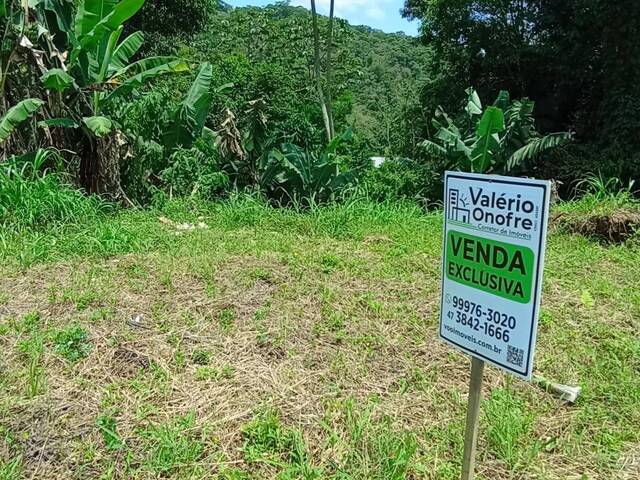 #177 - Terreno Rural para Venda em Schroeder - SC - 1